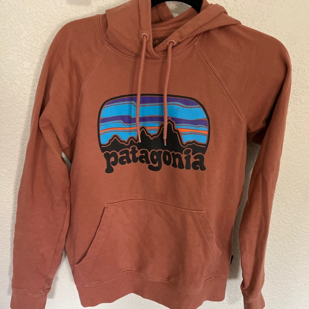 Patagonia hoodie